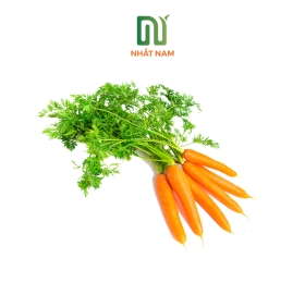 Fresh Carrot
