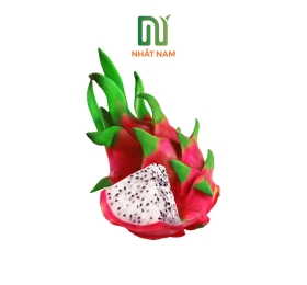Fresh Dragon Fruit