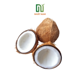 Dry Coconut